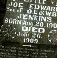 Joe Edward Jenkins Joe Edward Jenkins