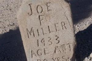 Joe F Miller