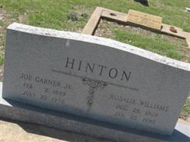 Joe Garner Hinton, Jr (2392334.jpg)