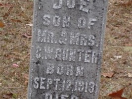 Joe Gunter