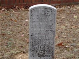 Joe Gunter