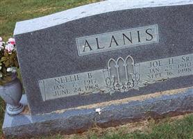 Joe H Alanis, Sr