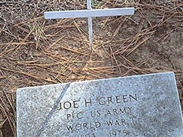 JOE H GREEN JOE H GREEN