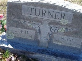 Joe H. Turner