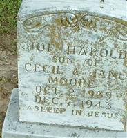 Joe Harold Moore