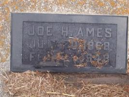 Joe Henry Ames