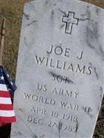 Joe J Williams