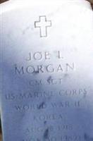 Joe L Morgan