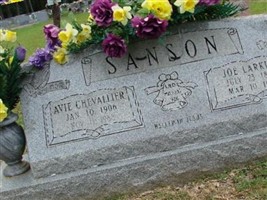 Joe Larkin Sanson