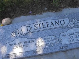 Joe Lewis Distefano Joe Lewis Distefano