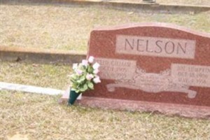 Joe Lumpkin Nelson Joe Lumpkin Nelson