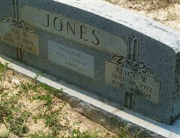 Joe N. Jones