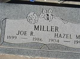 Joe R Miller