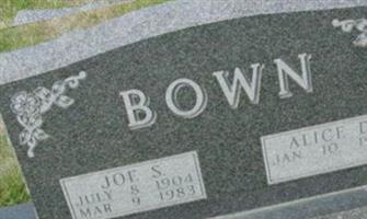 Joe S Bown