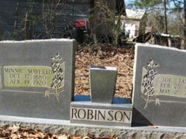 Joe Taylor Robinson Joe Taylor Robinson