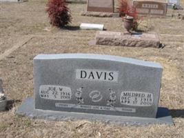 Joe W Davis