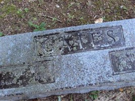Joe W Gates