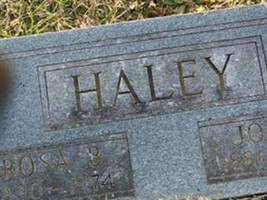 Joe W Haley