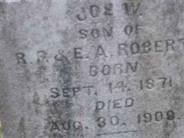 Joe W Roberts Joe W Roberts