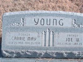 Joe W. Young