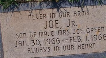 Joe Wayne Green, Jr Joe Wayne Green, Jr