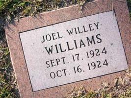 Joe Willy Williams