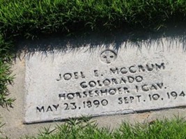 Joel E McCrum Joel E McCrum