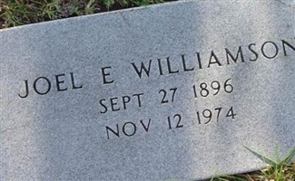 Joel E. Williamson Joel E. Williamson