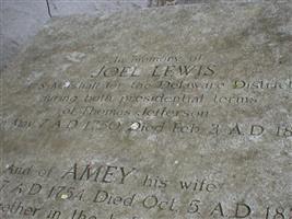 Joel Lewis