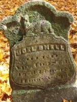 Joel Snell Joel Snell