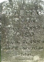 Joel Spiegel