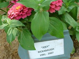 Joey Rickabaugh