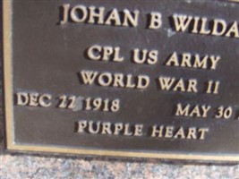 Johan B Wilday
