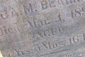 Johann Heinrich Friedrich Behring/Beahring Johann Heinrich Friedrich Behring/Beahring