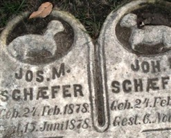 Johann P Schaefer