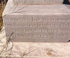 Johann Pfister