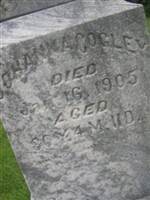 Johanna Cogley