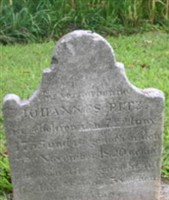 Johannes Fitz