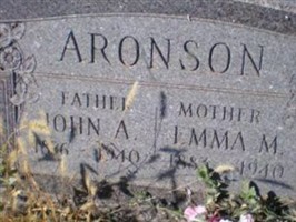 John A Aronson