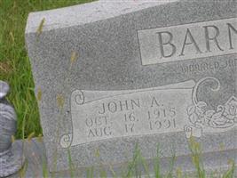 John A. Barnes