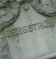 John A Bergstrom John A Bergstrom