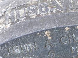 John A Gillis