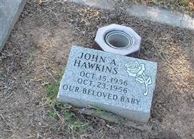 John A. Hawkins