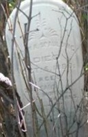 John A. Spaulding John A. Spaulding