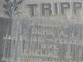 John A. Tripp John A. Tripp