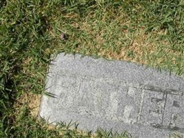 John A. Tripp John A. Tripp