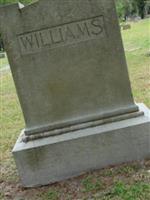 John A Williams