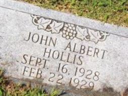 John Albert Hollis