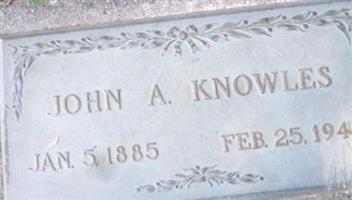 John Albert Knowles