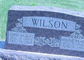 John Albert Wilson